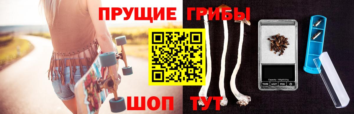 Псилоцибиновые грибы прущие грибы Зерноград